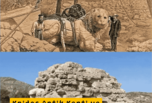 Muğla Knidos Antik Kenti ve Çalınan Aslan