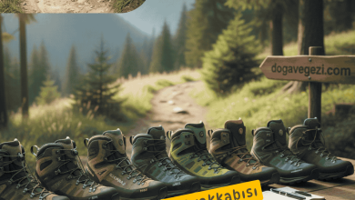 Outdoor Trekking Ayakkabısı Seçimi Nasıl Yapılır